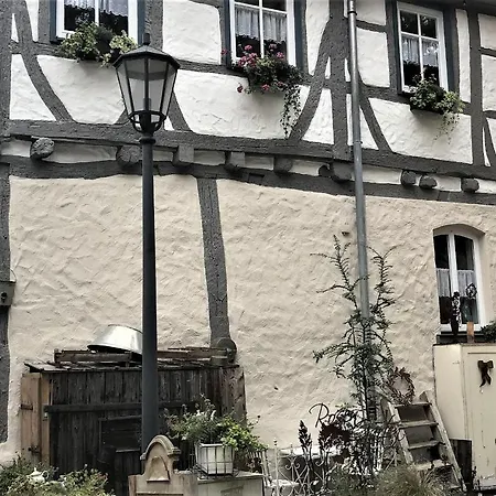 Luise Münsingen